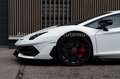Lamborghini Aventador SVJ*Lift*Mtl. Rate 6550 Euro² White - thumbnail 14