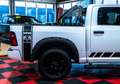 Dodge RAM 1500 SLT 5,7l Crew Cab,LPG Weiß - thumbnail 4