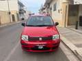 Fiat Panda 1.2 69Cv Dynamic Rosso - thumbnail 7