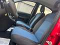 Fiat Panda 1.2 69Cv Dynamic Rosso - thumbnail 11