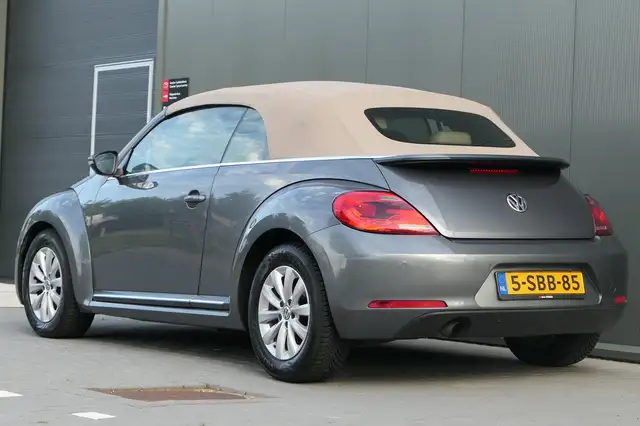Volkswagen Beetle view 15