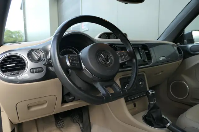 Volkswagen Beetle view 6
