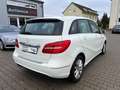 Mercedes-Benz B 180 BlueEFFICIENCY NEUE BREMSEN/Bi-Xenon/Navi/SHZ/PDC/ Weiß - thumbnail 11