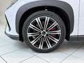 BYD Sealion 7 Excellence Österreich Paket 91.5 kWh AWD Weiß - thumbnail 8