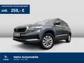 Skoda Karoq 1.5TSI DSG Ambition LED Sitz APP CAM DAB Gris - thumbnail 1