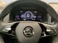 Skoda Karoq 1.5TSI DSG Ambition LED Sitz APP CAM DAB Grau - thumbnail 9