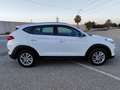 Hyundai TUCSON 1.6 GDi BlueDrive 25 Aniversario 4x2 Blanco - thumbnail 13