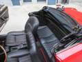 Fiat 124 Spider Rouge - thumbnail 6