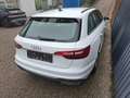 Audi A4 30 TDI Blanc - thumbnail 9