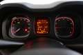 Fiat Panda 4x2 FireFly Hybrid 70 Weiß - thumbnail 7