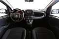 Fiat Panda 4x2 FireFly Hybrid 70 Weiß - thumbnail 5