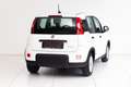 Fiat Panda 4x2 FireFly Hybrid 70 Weiß - thumbnail 2