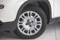 Fiat Panda 4x2 FireFly Hybrid 70 Weiß - thumbnail 4