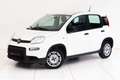 Fiat Panda 4x2 FireFly Hybrid 70 Weiß - thumbnail 1