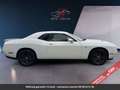 Dodge Challenger Tout compris hors homologation 4500e Blanc - thumbnail 16