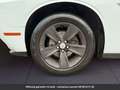 Dodge Challenger Tout compris hors homologation 4500e Blanc - thumbnail 19