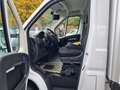Opel Movano Koffer Fahrgestell L4 Flexbox,Kamera, Weiß - thumbnail 10