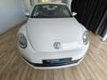 Volkswagen Beetle 1.4 TSI R-Line DSG7 160 Blanc - thumbnail 15