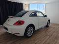 Volkswagen Beetle 1.4 TSI R-Line DSG7 160 Blanc - thumbnail 10