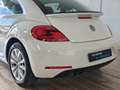 Volkswagen Beetle 1.4 TSI R-Line DSG7 160 Blanc - thumbnail 6
