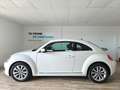 Volkswagen Beetle 1.4 TSI R-Line DSG7 160 Blanc - thumbnail 3