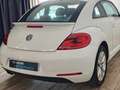 Volkswagen Beetle 1.4 TSI R-Line DSG7 160 Blanc - thumbnail 11