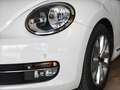 Volkswagen Beetle 1.4 TSI R-Line DSG7 160 Blanc - thumbnail 18