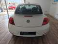 Volkswagen Beetle 1.4 TSI R-Line DSG7 160 Blanc - thumbnail 9