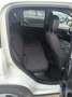 Fiat Panda 1.0 firefly hybrid City Cross s&s 70cv - thumbnail 8