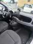 Fiat Panda 1.0 firefly hybrid City Cross s&s 70cv - thumbnail 10