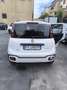 Fiat Panda 1.0 firefly hybrid City Cross s&s 70cv - thumbnail 5