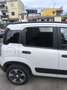 Fiat Panda 1.0 firefly hybrid City Cross s&s 70cv - thumbnail 6
