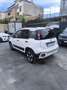 Fiat Panda 1.0 firefly hybrid City Cross s&s 70cv - thumbnail 3