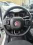Fiat Panda 1.0 firefly hybrid City Cross s&s 70cv - thumbnail 15