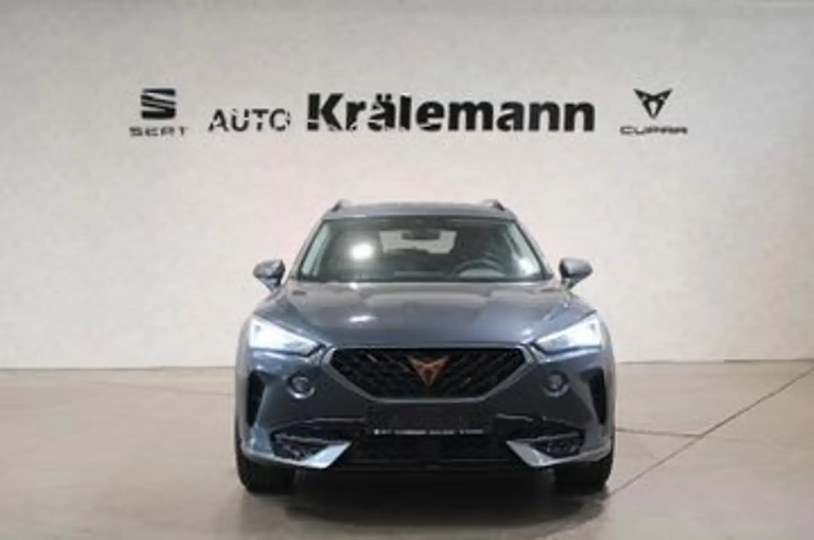CUPRA Formentor 2.0TDI DSG 4Drive*Navi*LED*AHK* Gris - 2