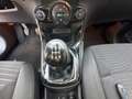 Ford Fiesta Fiesta 1.5 TDCi 75CV 5 porte Titanium Bleu - thumbnail 16