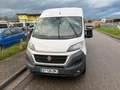 Fiat Ducato *9 SITZE*Handicape*Behindertengerecht* Weiß - thumbnail 6
