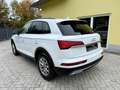 Audi Q5 40 TDI quattro Virtual-ACC-AHK-LED-B&O-360° Weiß - thumbnail 7