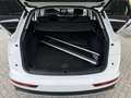 Audi Q5 40 TDI quattro Virtual-ACC-AHK-LED-B&O-360° Weiß - thumbnail 27