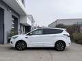 Ford Kuga 2.0 TDCi ST-Line Aut. AWD **Kamera/Keyless** Weiß - thumbnail 8