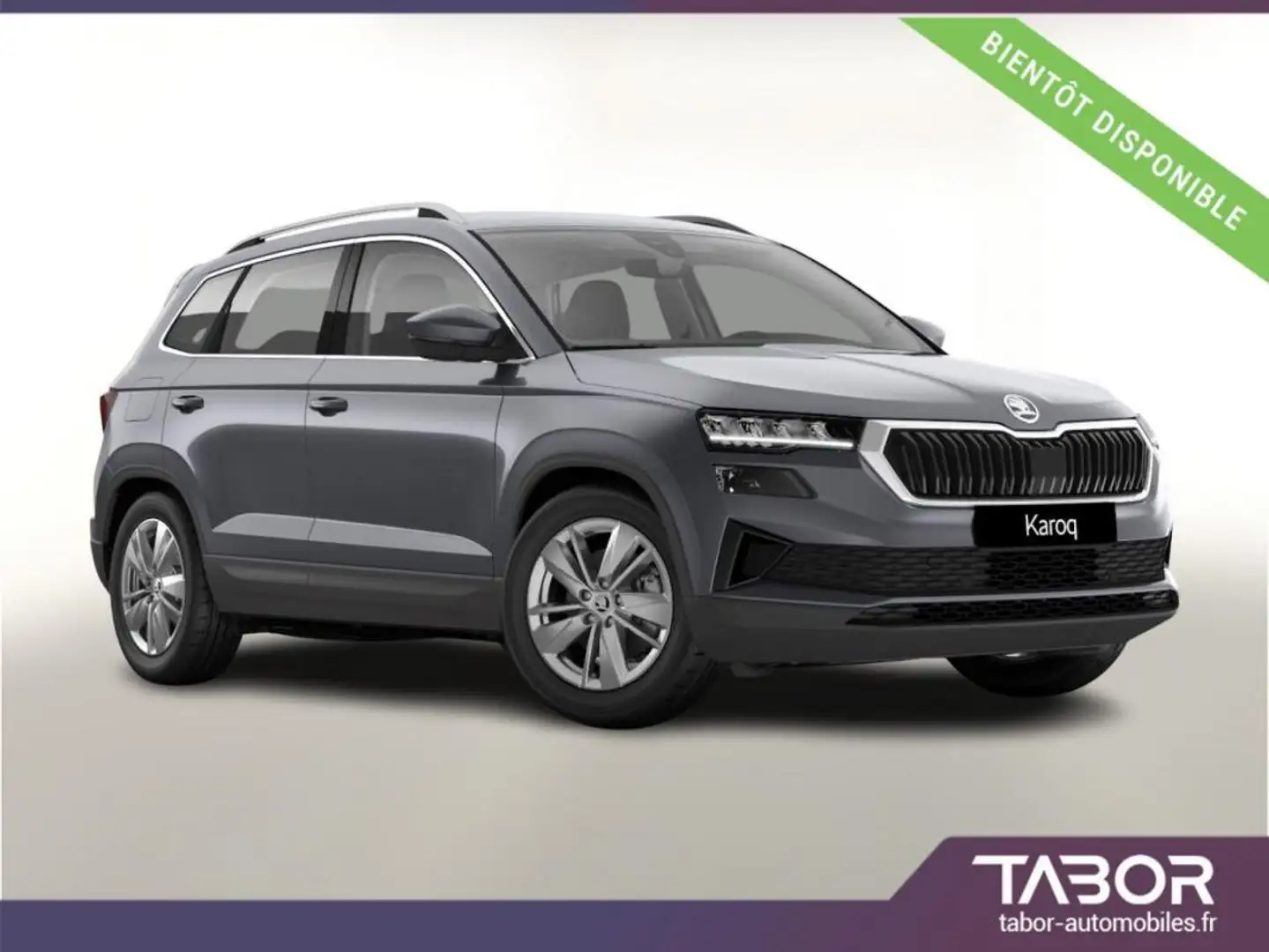 Skoda Karoq TSI 150 DSG Selection LED ACC GPS Gris - 1