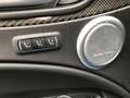 Alfa Romeo Stelvio Quadrifoglio 510 PS SDach 20 Zoll Harman uvm. - thumbnail 16