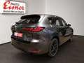 Mazda CX-60 D254 AWD HOMURA PLUS Sport und Familie Gris - thumbnail 14