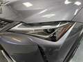 Lexus UX 200 250h 2.0 Business 2wd cvt my20 Gris - thumbnail 17