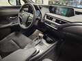 Lexus UX 200 250h 2.0 Business 2wd cvt my20 Gris - thumbnail 31