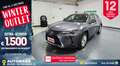 Lexus UX 200 250h 2.0 Business 2wd cvt my20 Grau - thumbnail 1