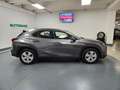 Lexus UX 200 250h 2.0 Business 2wd cvt my20 Grigio - thumbnail 5
