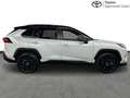 Toyota RAV 4 Style Plus 2WD Blanc - thumbnail 16