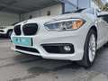 BMW 116 118d - Blanco - thumbnail 21