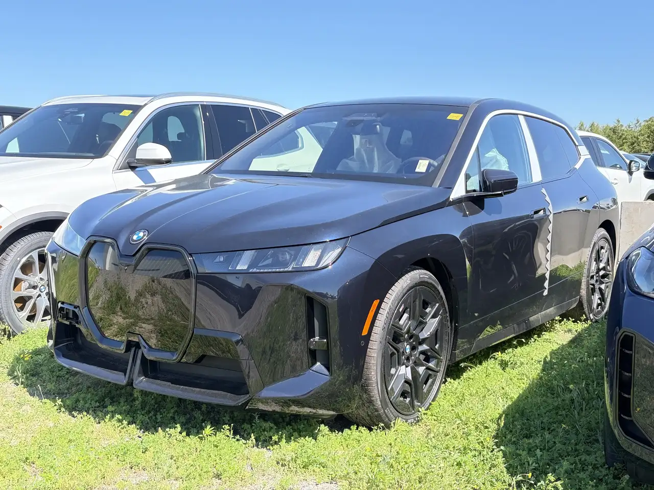2026 BMW iX